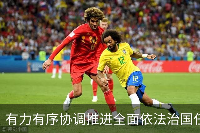 有力有序协调推进全面依法治国任务落实（权威发布·开局起步“十五五”）